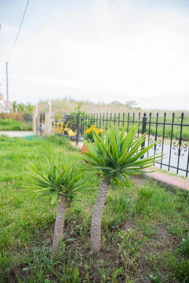 Garden Suite Néa Péramos Dış mekan fotoğraf